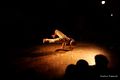 BBOY STANCE JAM