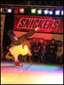 BOTY POLSKA 2005