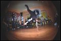 Ch-Check It Out 2 - Pomeranian (eliminacje)