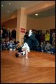 Ch-Check It Out 2 - Pomeranian (eliminacje)