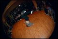 Ch-Check It Out 2 - Pomeranian (eliminacje)