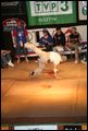 KROK PISKIEGO STYLU 2006
