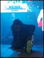 HIP HOP DANCE BATTLE (I miejsce: 10 000 PLN)