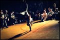 PAL PARKIET 5vs5 crew battle