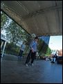 THE STYLES CRASH
