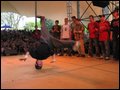 WARSAW CHALLENGE
