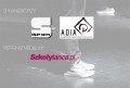COACHING HIP-HOP DANCE THEATRE - ROCZNE SZKOLENIE Z PROPOZYCJĄ NA SCENĘ - GRUPA SKŁAD