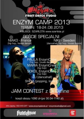 ENZYM CAMP 2013