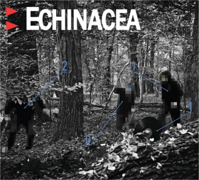 Echinacea - Dobranoc (feat. Eldo) - premiera teledysku!